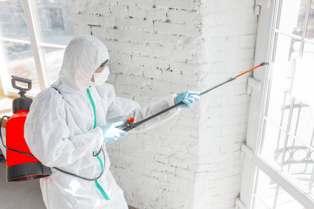 Best Mold Removal for HVAC Installations  in Chardon, OH